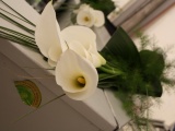 Tn IMG 0966