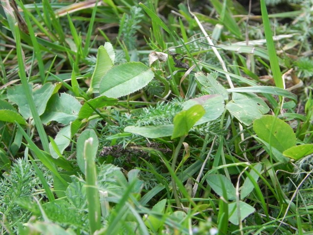DSCN2731
