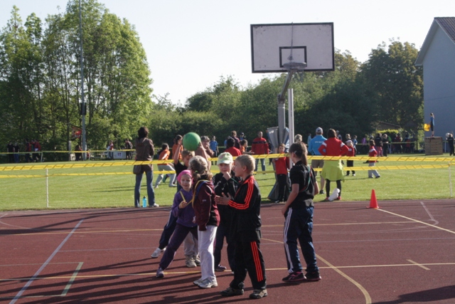 IMG 9767