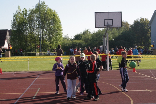 IMG 9768