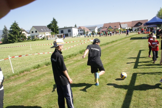 IMG 9864