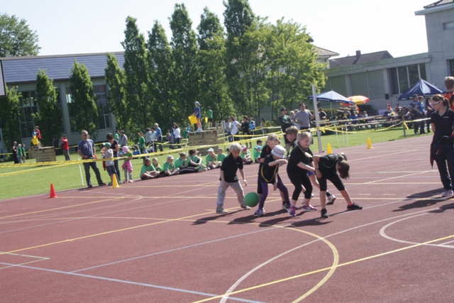 IMG 9872