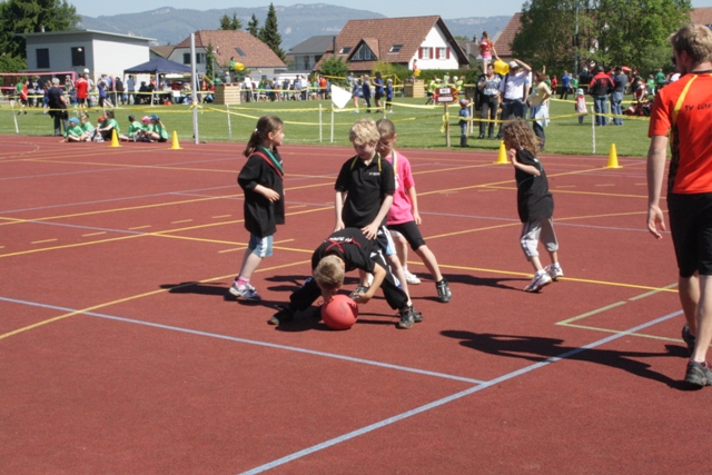 IMG 9881