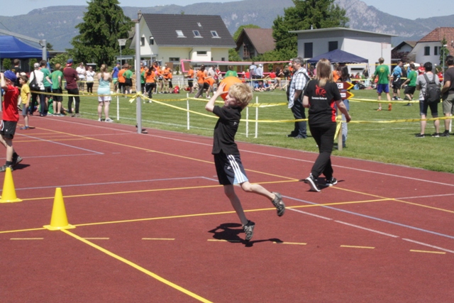 IMG 9886