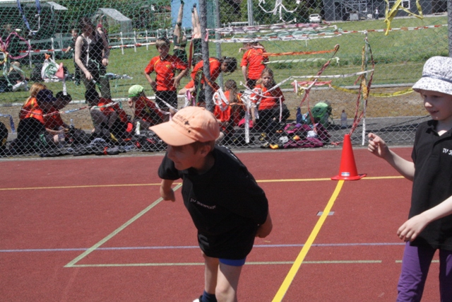 IMG 9891