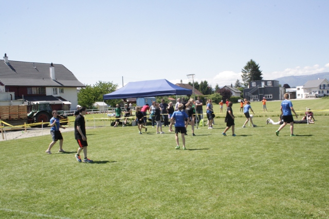 IMG 9913