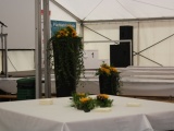 Tn IMG 0003