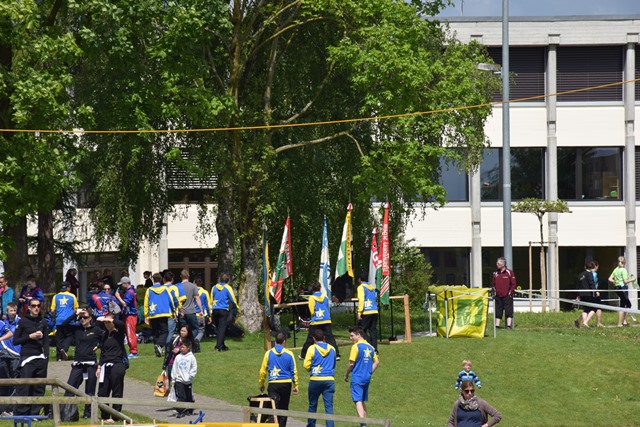 DSC 0061