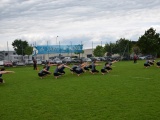 Tn DSC 0287