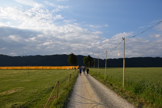 DSC 0889
