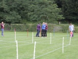 Tn IMG 1287
