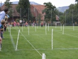 Tn IMG 1288