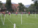 Tn IMG 1289
