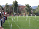 Tn IMG 1303
