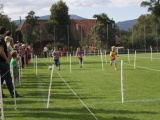 Tn IMG 1316