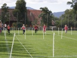 Tn IMG 1320