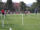 Tn IMG 1344