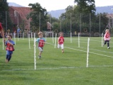 Tn IMG 1346