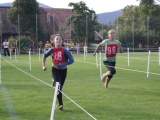 Tn IMG 1416