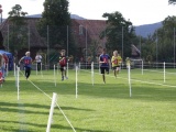 Tn IMG 1419