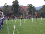 Tn IMG 1476