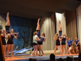 Tn DSC 0337
