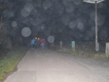 Tn DSC 0429