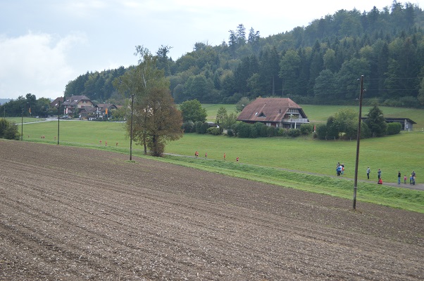 DSC 0220