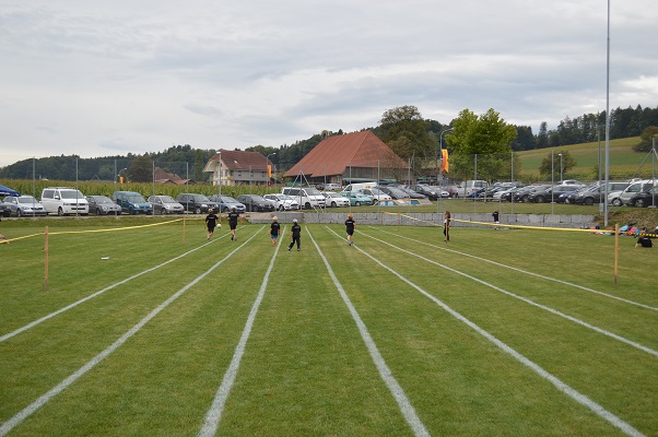 DSC 0245