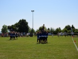 Tn DSC 0029