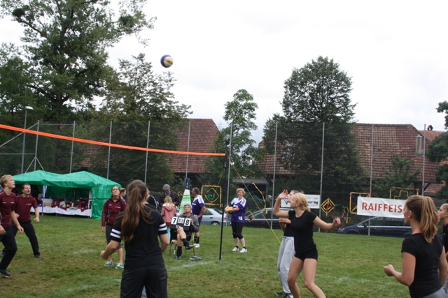 IMG 2094