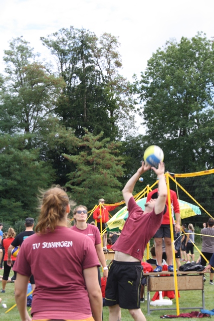 IMG 2146