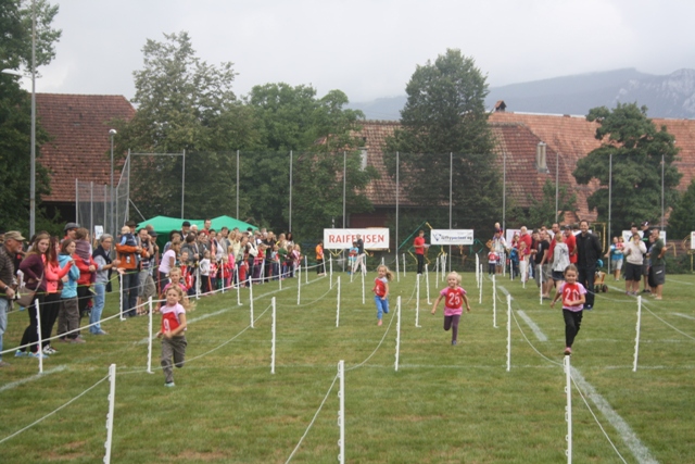 IMG 1971