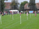 Tn DSC 0012 1024