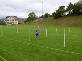 Tn DSC 0133 1024