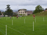 Tn DSC 0135 1024