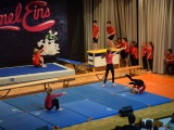 Tn Ablage159