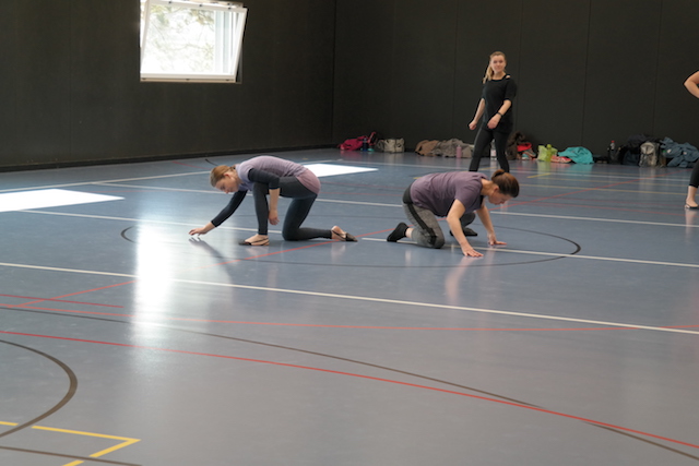 Bild102