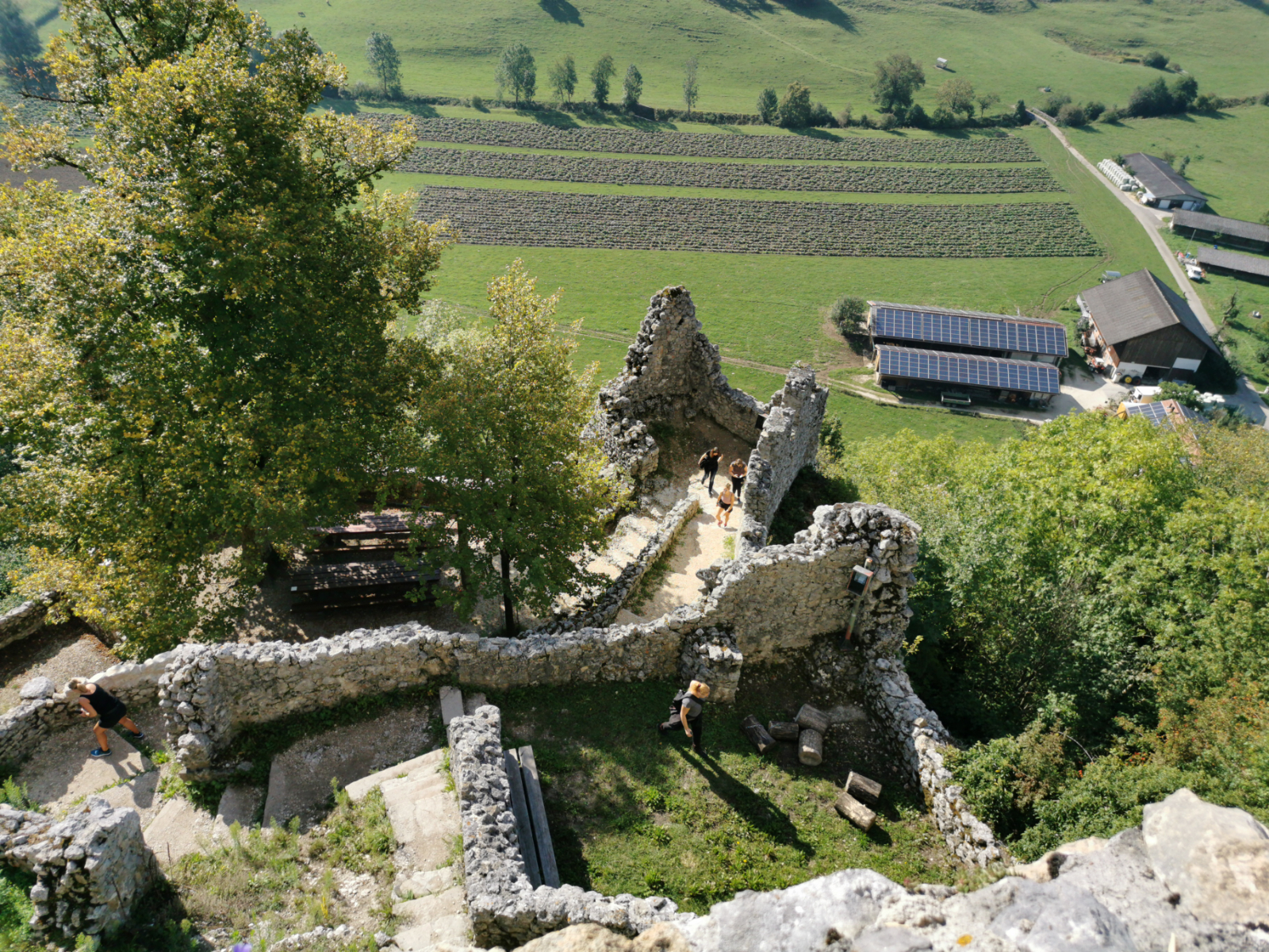 IMG 20200905 102524