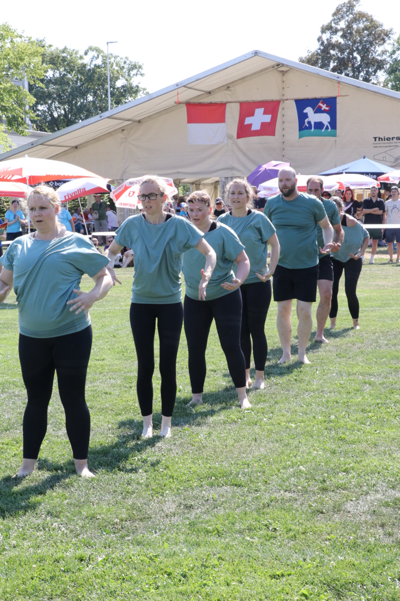 IMG 2484