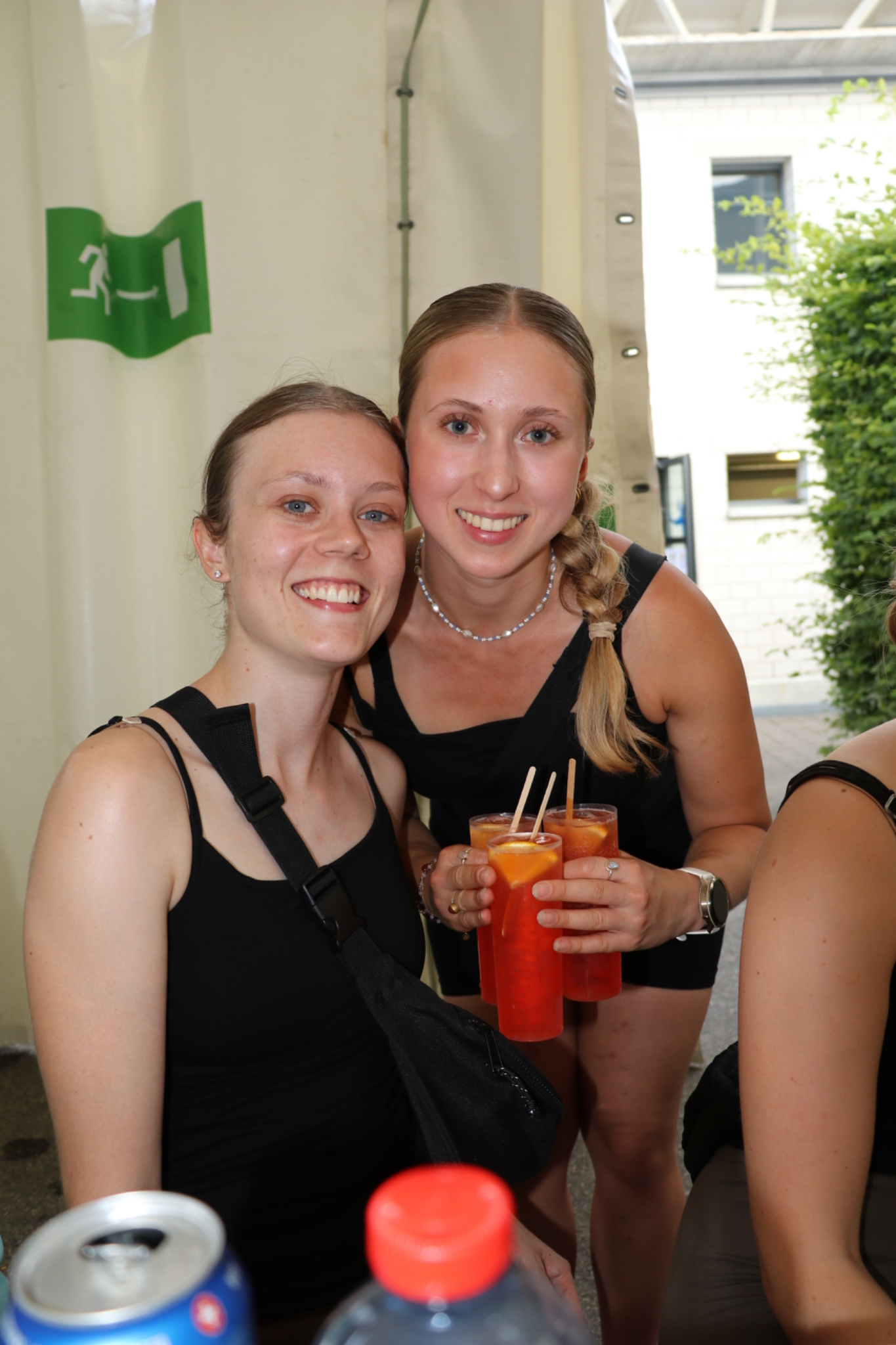 IMG 2653