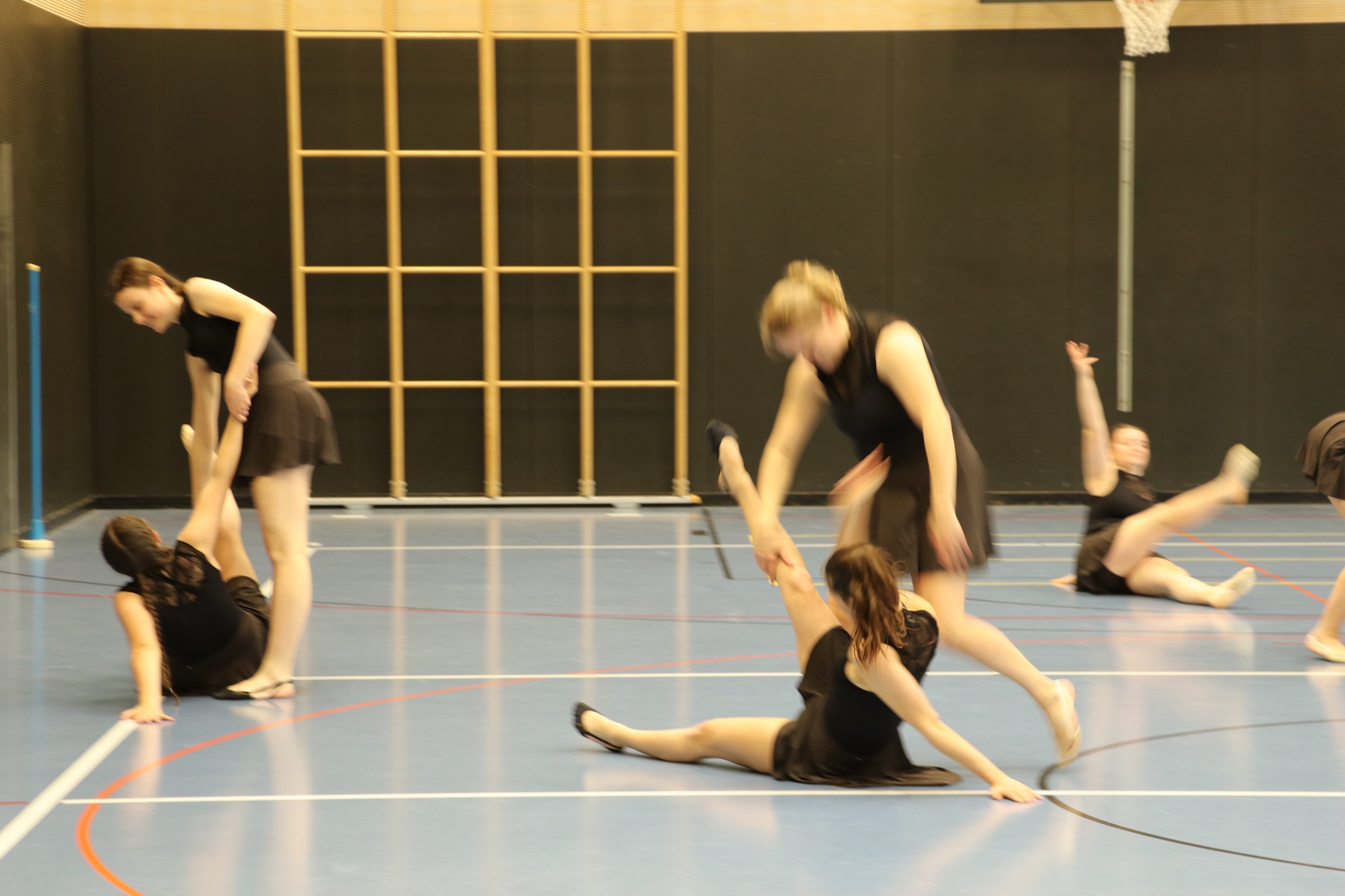 IMG 9651