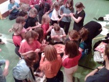 Tn Bild049