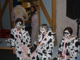 Tn IMG 2309
