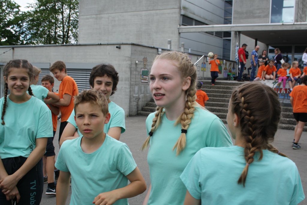 IMG 2446