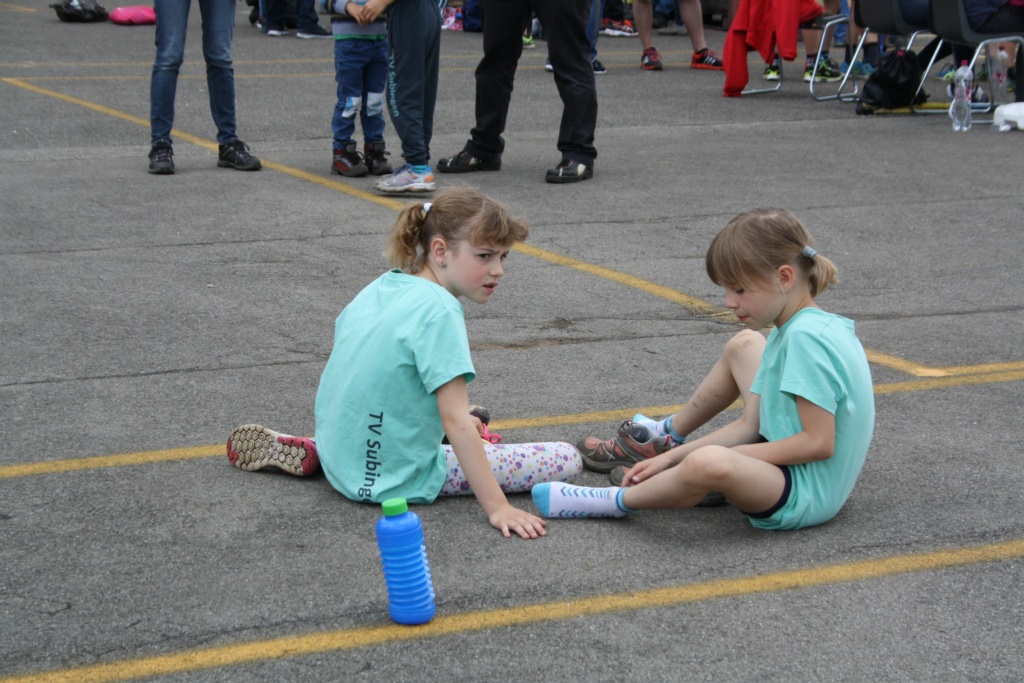 IMG 2456