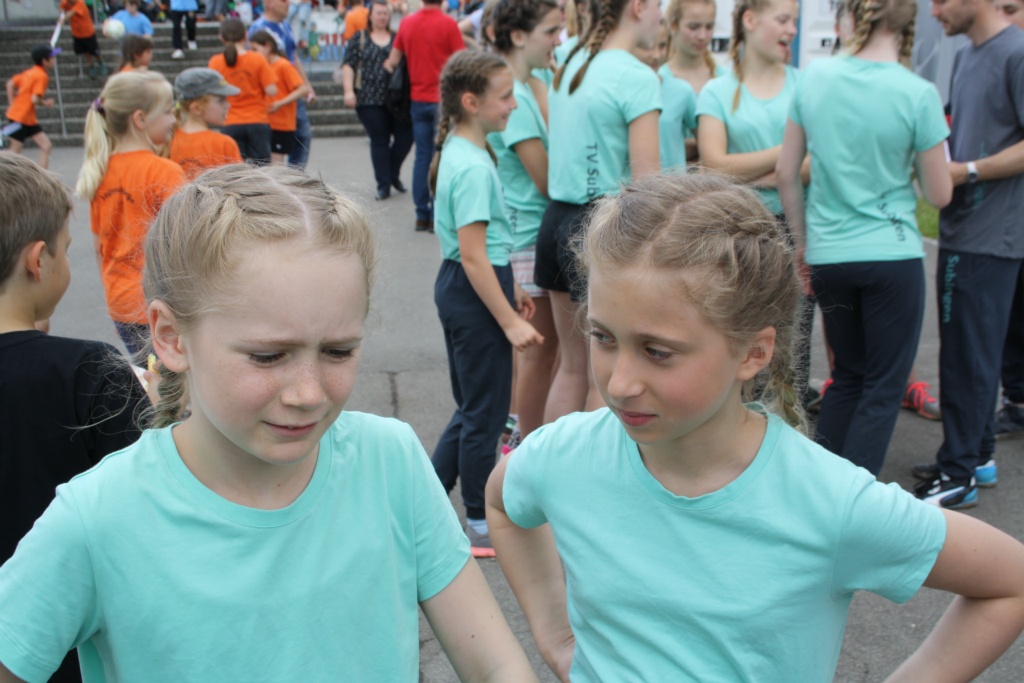 IMG 2461