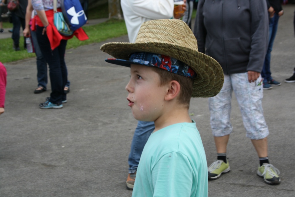 IMG 2464
