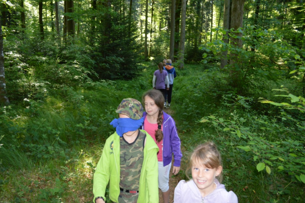 Bild (12)