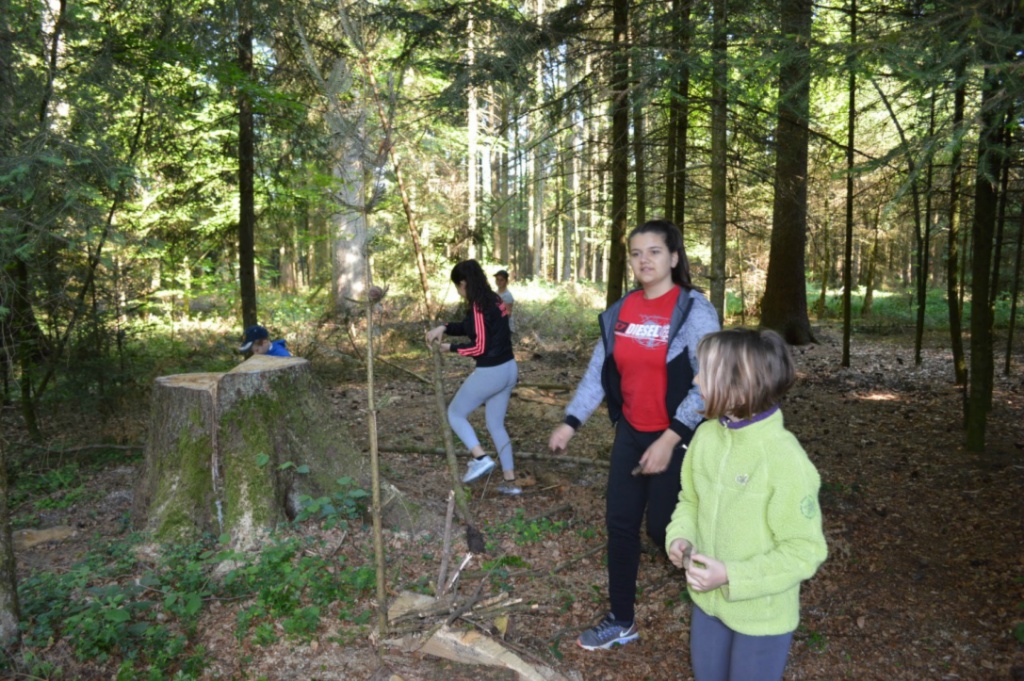 Bild (13)